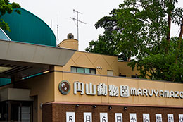 札幌市円山動物園